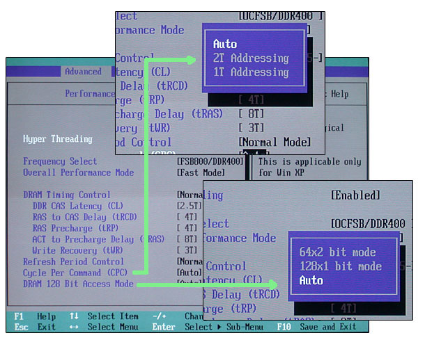 bios4.jpg