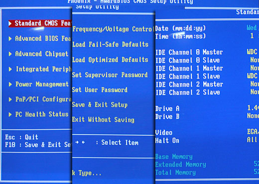 bios1.jpg
