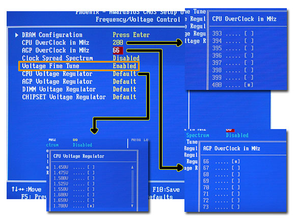 bios3.jpg