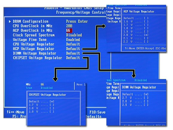 bios4.jpg
