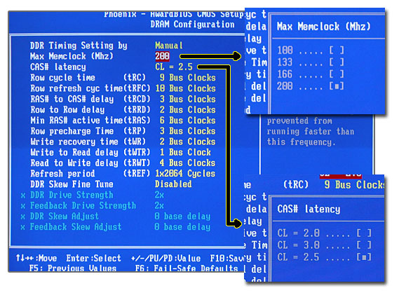 bios5.jpg