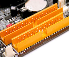 DSCN9955s.jpg